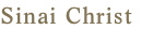 Sinai Christ